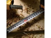 Рулетка DeWALT DWHT36156L-23, 5 м