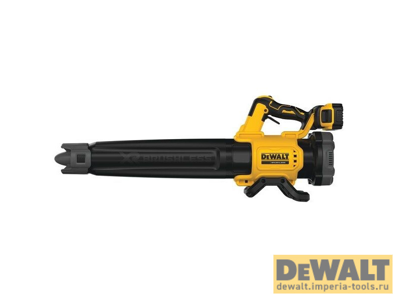 DCMBL562P1-QW  в фирменном магазине DeWALT